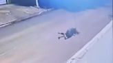 Ladrones asesinaron a un motociclista de una aplicación de viajes: el escalofriante video del crimen