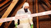 A Triumph and Disgrace: The Very Slow Road to Banning Asbestos - EcoWatch