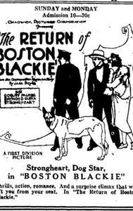 The Return of Boston Blackie