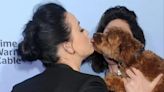 Katy Perry Shows Off Her Dog’s Haircut
