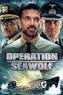 Operation Seawolf