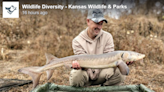 ‘Incredibly rare’ prehistoric fish shocks angler as he reels it in from Kansas River