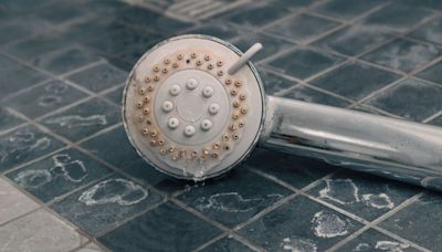 Dissolve shower head limescale quicker than vinegar and baking soda with 1 item