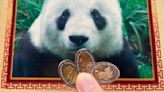 Graba tus monedas de $1 con figuras de animales del Zoológico de Chapultepec en esta máquina
