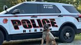 Herrin Police Department’s K9 Kahos has received donation of body armor