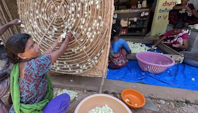 Sericulture may soon get a boost in Chamarajanagar