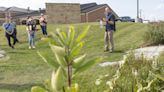 Plain Township names new green space after Monarch butterfly