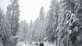Is more snow coming to Tahoe this week? How much has fallen already? Here’s the latest