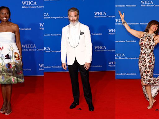 White House Correspondents' Dinner 2024 Red Carpet: Shoes Style