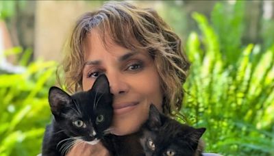 Halle Berry: Fotoshooting mit Haut und (Katzen-)Haaren