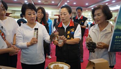 與中央較勁？盧秀燕送暖花蓮「時機巧合」引聯想 地方人士這麼看