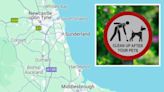 REVEALED: The North East dog poo hotspots - including one with 1400 complaints