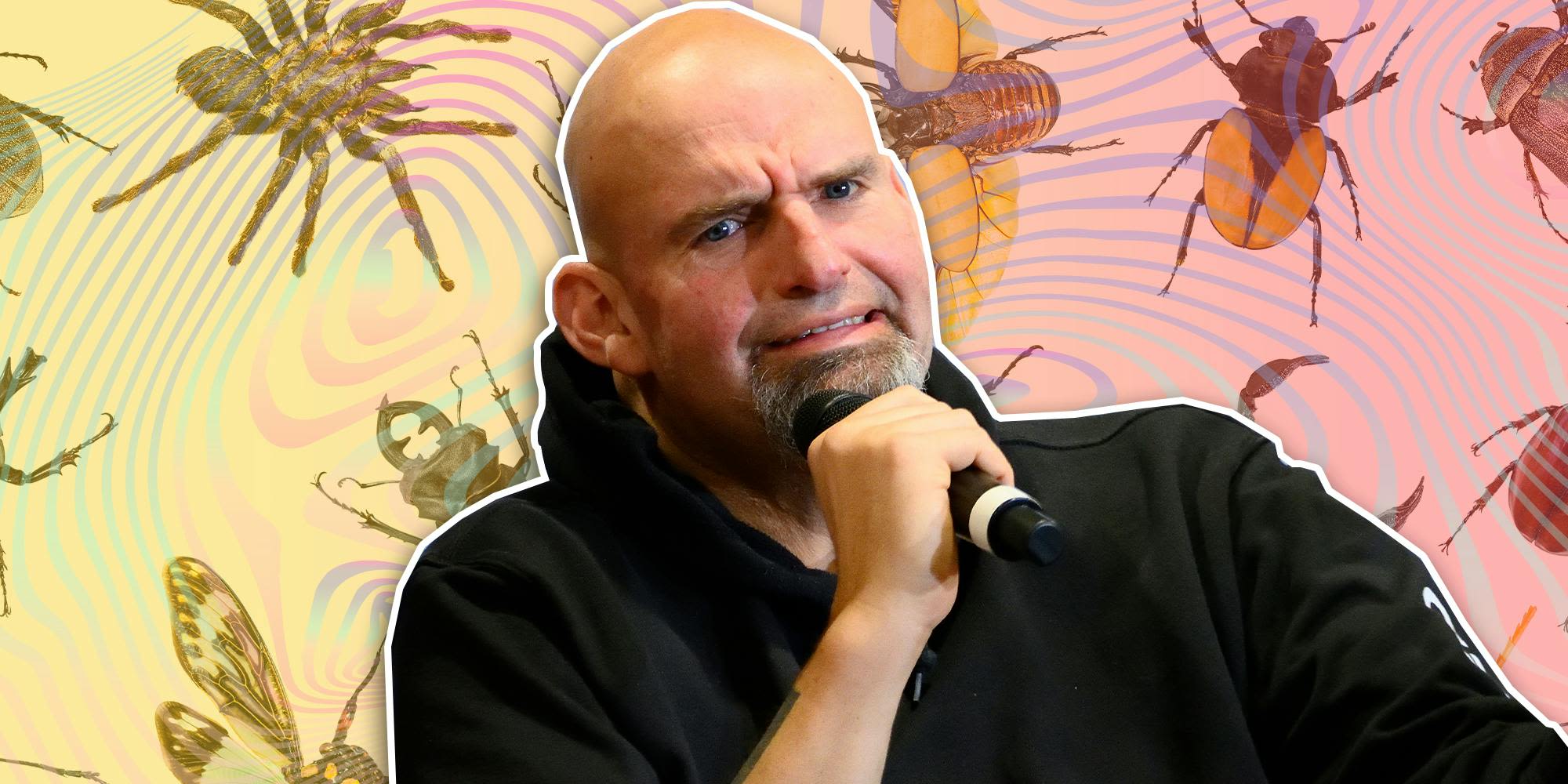 Fetterman praises Florida's lab-grown meat ban, which aims to stop the 'elite' from forcing 'the world to eat fake meat and bugs'