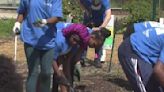 Kids take part in community garden planting