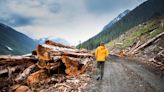 Environmental groups critical of new B.C. government old-growth logging report