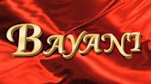 Bayani (TV series)