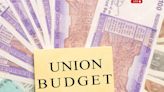 Budget 2024: Govt should focus on big ticket divestments, fiscal deficit maybe reduced, says CareEdge Ratings - ET BFSI