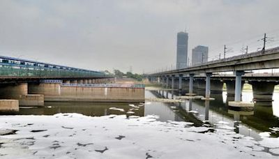 Yamuna froth: Delhi asks Centre to instruct Haryana, Uttar Pradesh not to release residue into river