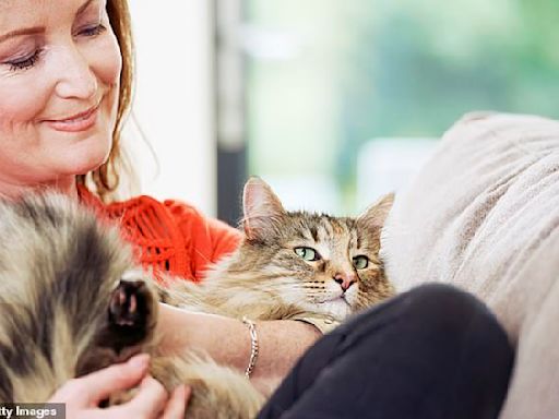 Seeing pets as 'fur babies' means owners don't put them down when sick