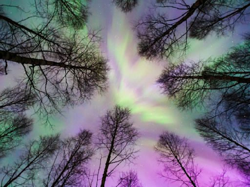 Alerta en Estados Unidos por una tormenta geomagnética: el mapa de las auroras boreales