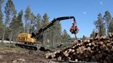 Forest Service to conduct thinning projects near Parks