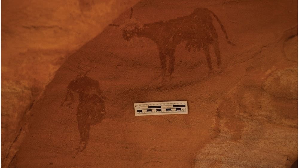 4,000-year-old rock art of boats and cattle unearthed in Sudan paint a picture of a green Sahara