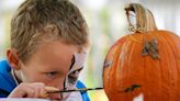 From frights to fairs, check out these Oklahoma events where you can fall for fall