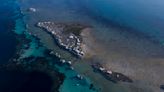 Woman is bitten by a shark off the coast of Western Australia