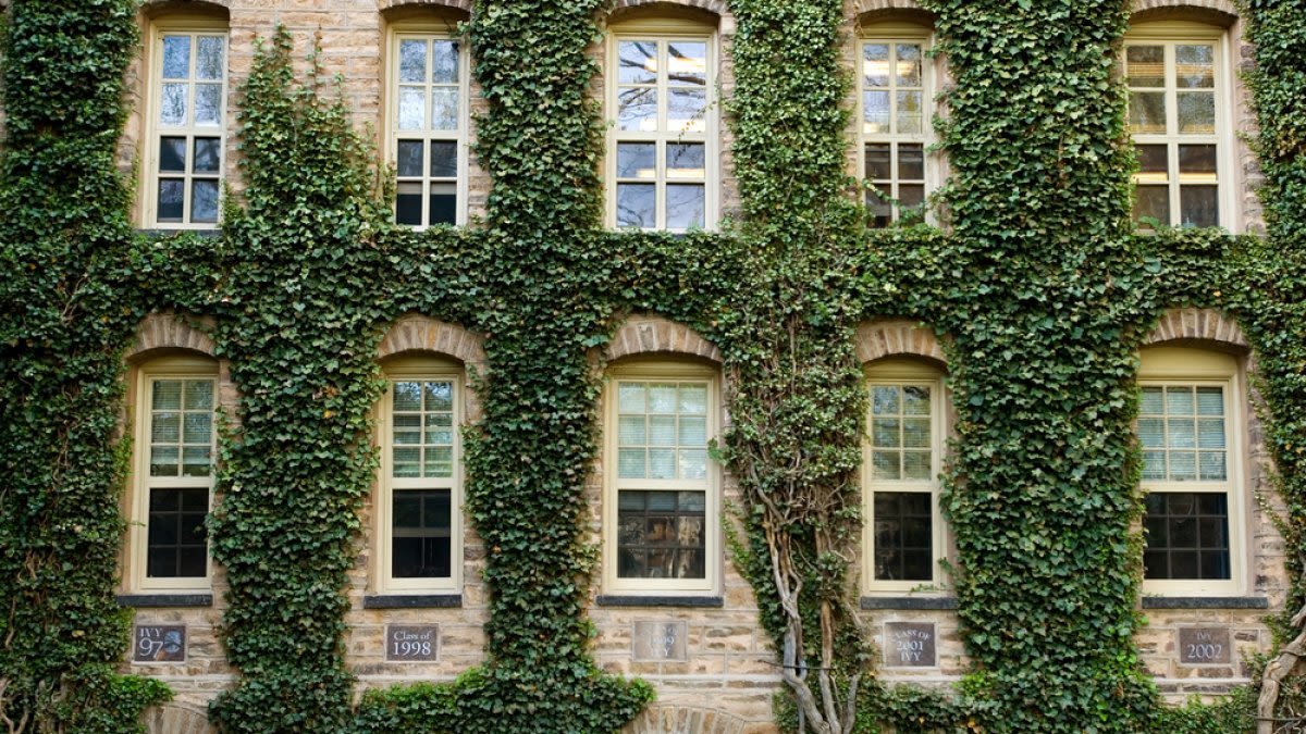 These universities may be the 'new ivy' league schools, Forbes says, and several are in the Midwest