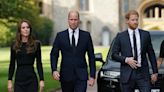 Prince William 'Fears' Harry & Meghan Could Become 'Public Face Of Royal Family' Amid Health Crisis