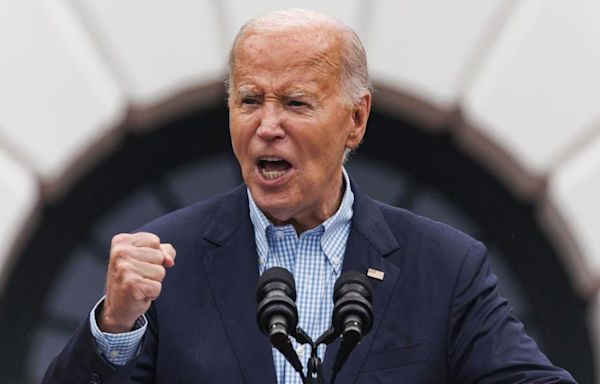 Democrats weigh risks and rewards of losing Biden