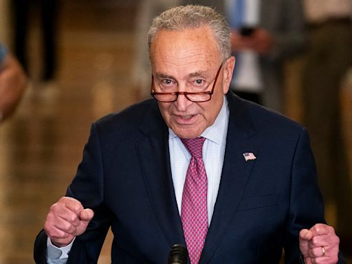 Schumer has doubts about Biden but won’t undermine him, say Democrats