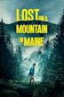 Lost on a Mountain in Maine | Adventure, Drama, Family