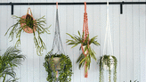 Urban jungle room ideas - five ways to make the nature-inspired trend work for you