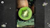 Kiwi: la fruta que es una ‘bomba’ de colágeno para combatir las arrugas | Fútbol Radio Fórmula