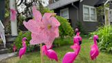 Flock Cancer prepares for annual walk to honor breast cancer survivors