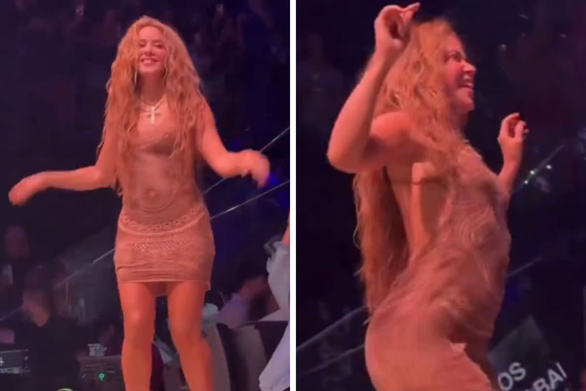 “They Should Be Arrested”: Shakira Cuts Nightclub Performance Short Due To Invasion Of Privacy