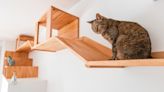 Is Your Cat Bored at Home? Build Them a Customized Cat Wall