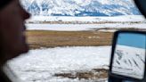 National Elk Refuge will stake out the future of feeding; legal challenges all but certain