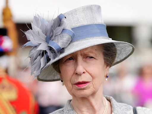 Princess Anne suffers memory loss as result of head injuries: report