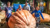 What's the Buzz: Giant pumpkins coming back in Barnesville