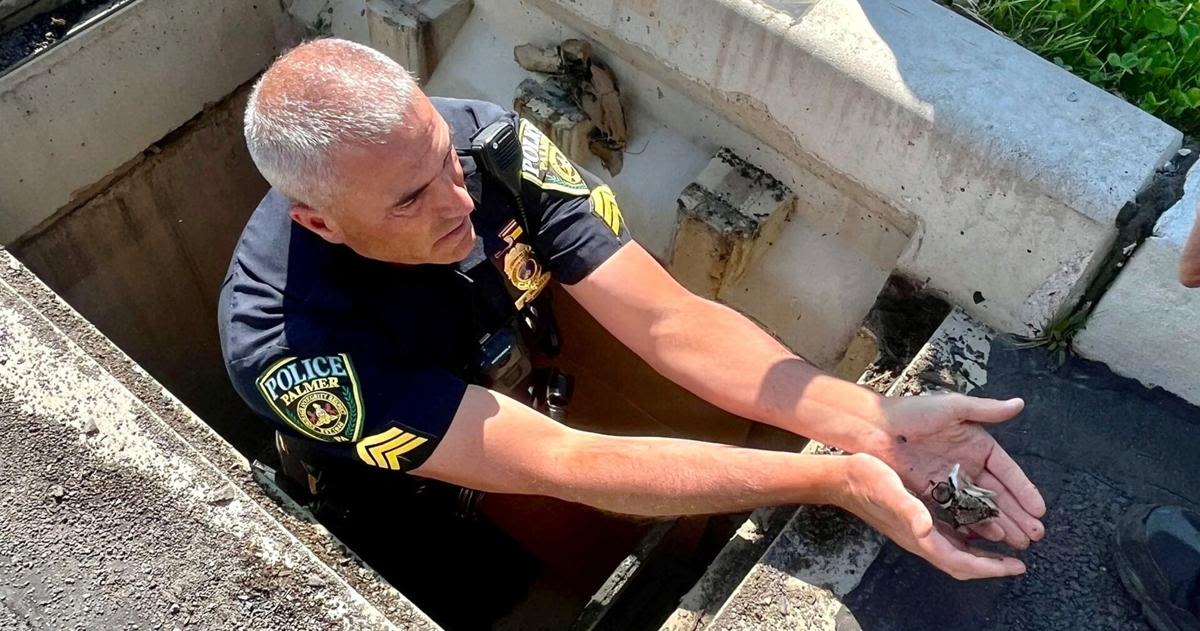 Palmer Twp. police rescue baby goose from storm drain