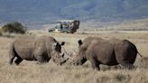 Why You Should Never Geotag Endangered Wildlife on Safari