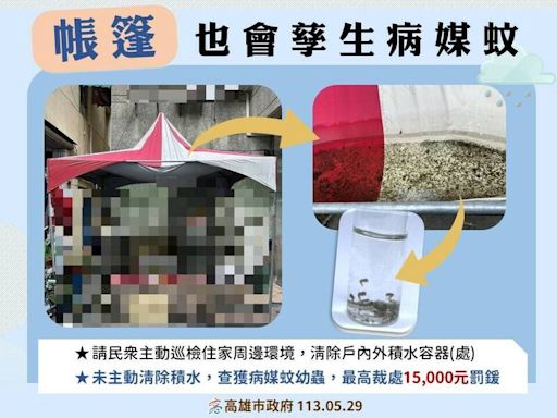 高雄市境外移入登革熱+1 單週查獲143個孳生源