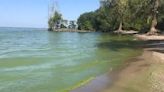 Mild algal blooms expected in Lake Erie this summer