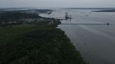 Indonesia pushes tourism to boost mangrove restoration