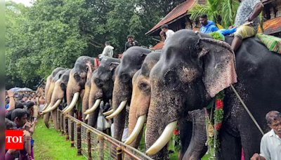 Villagers block road in Kerala's Wayanad, demand justice for elephant attack victim | India News - Times of India