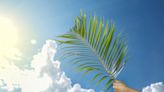 45 Palm Sunday Quotes for Your Weekend-Before-Easter Celebration and Religious Observation