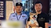 飼主每晚徒步8句鐘尋愛犬 終奇迹團聚