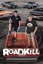 Roadkill (web series)